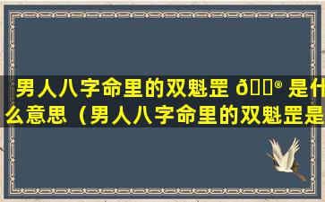 男人八字命里的双魁罡 💮 是什么意思（男人八字命里的双魁罡是什么意思啊 🦆 ）